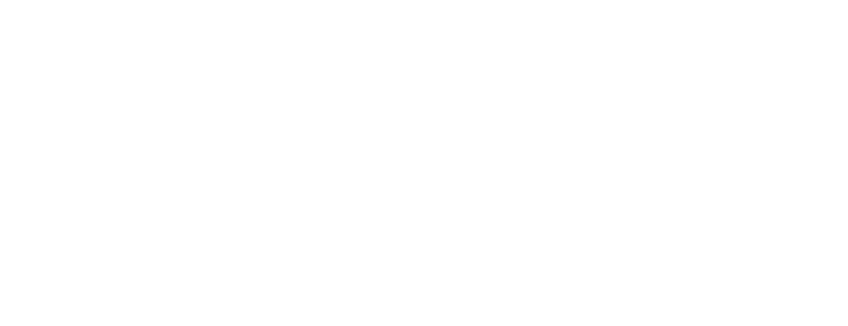 Silver Lining Ltd